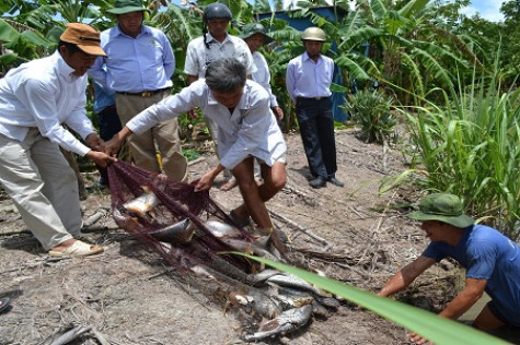 Nông dân phấn khởi khi được miễn, giảm thuế