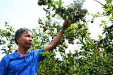 Về Khánh An nghe đồng đất chuyện trò