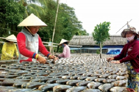 Tăng cường năng lực cạnh tranh cho các doanh nghiệp vừa và nhỏ