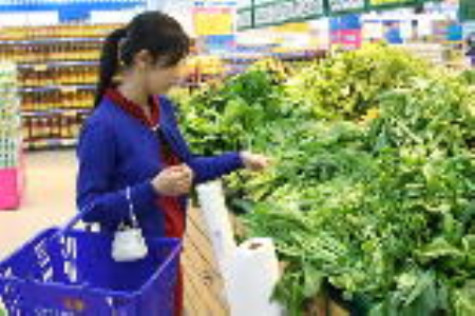 Nhiều khoản thu chủ lực giảm sút trong quý 1