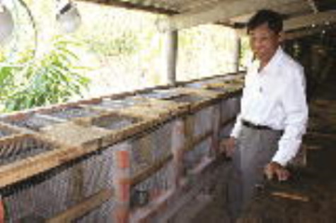 Nuôi chồn hương - một vốn hơn bốn lời