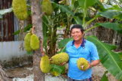 Nơi đất lành sinh trái ngọt