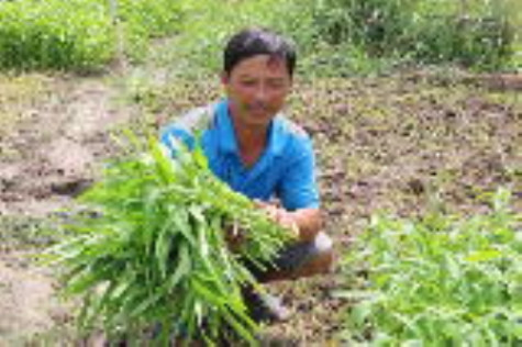 Đồng bào Khmer nỗ lực giảm nghèo