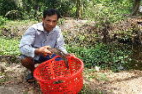 Đổi thay Lung Tràm