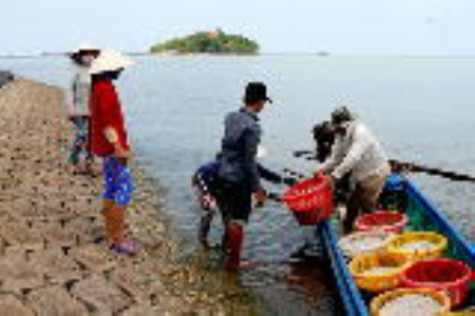 Khắc khoải Khánh Bình Tây