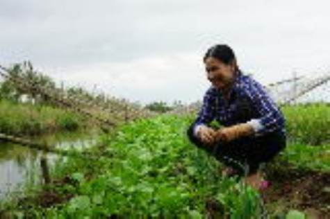 Trong vòng vây "thực phẩm bẩn”