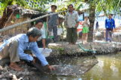 Giúp dân giảm nghèo