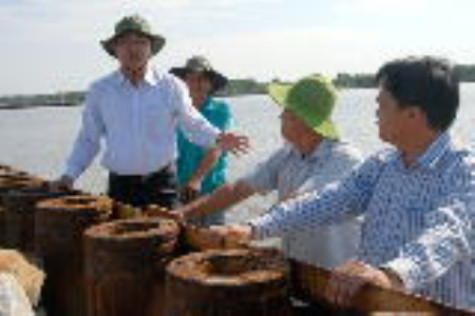 Đặc biệt chú trọng đến chất lượng xây dựng đê biển Tây