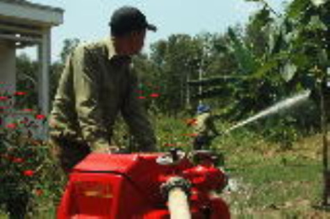 Tìm mọi giải pháp tháo gỡ khó khăn, ổn định cuộc sống người dân dưới tán rừng