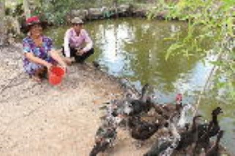 Người cựu chiến binh gương mẫu