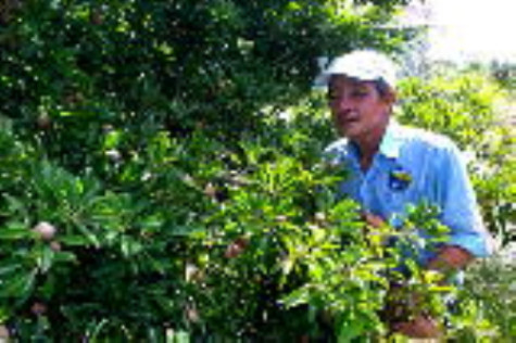 Nông dân cần những mô hình bền vững