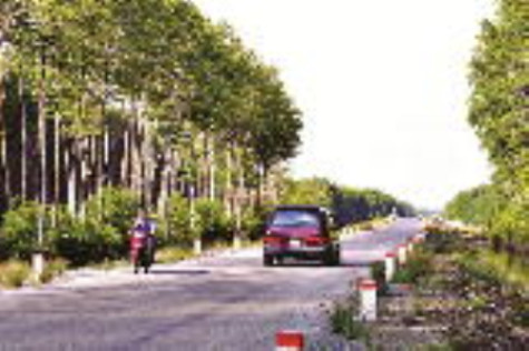 Bứt phá mũi đất phù sa