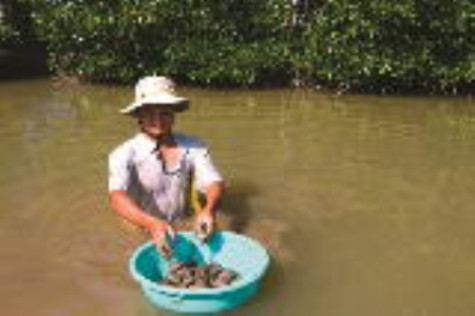 Hỗ trợ nông dân phát triển bền vững