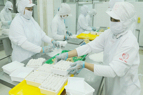 5 tháng, vốn FDI đạt 12,13 tỷ USD