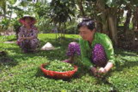 Khó khăn giảm nghèo đa chiều
