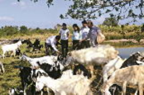 Bệ đỡ giúp dân thoát nghèo
