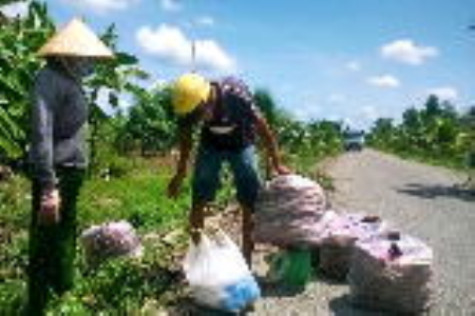 Đổi thay Kinh T19