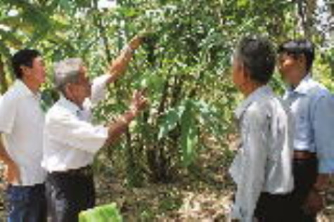 U70 vẫn say mê lao động