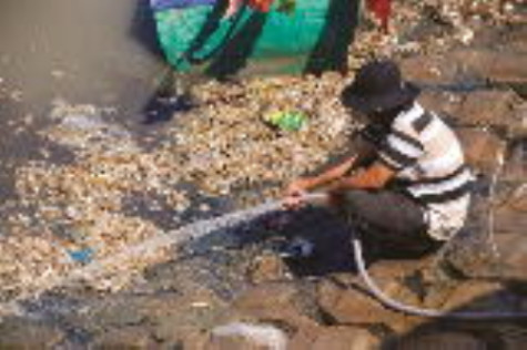 Tìm nguyên nhân cá chết trên sông Gành Hào