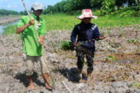 Nhiều bất cập trong quản lý, sử dụng đất lâm nghiệp