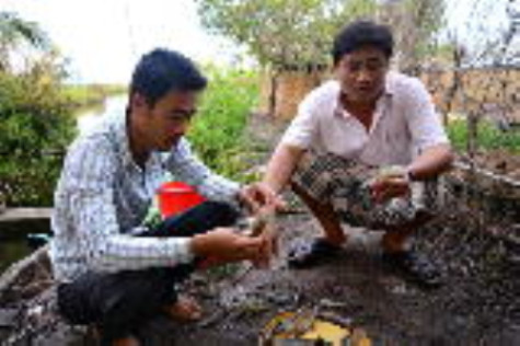 “Kỹ sư” nuôi rong