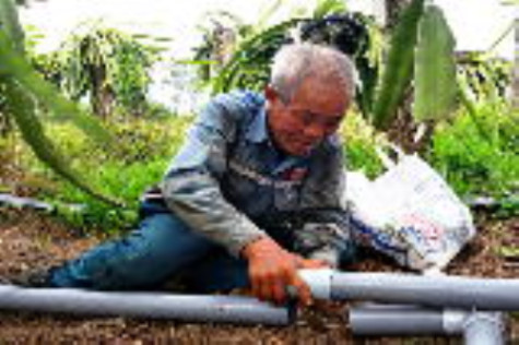 Lão nông Ba Liêm chinh phục vùng đất khó