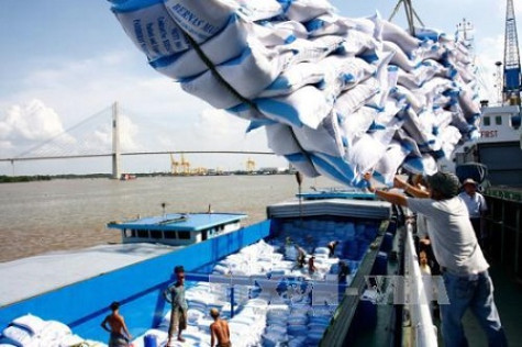Việt Nam thuộc tốp 5 nước có sản lượng gạo lớn nhất năm 2017