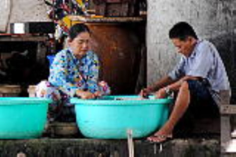 Gia súc, gia cầm từ chuồng trại đến bàn ăn
