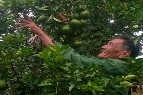 Nông dân thời đại mới