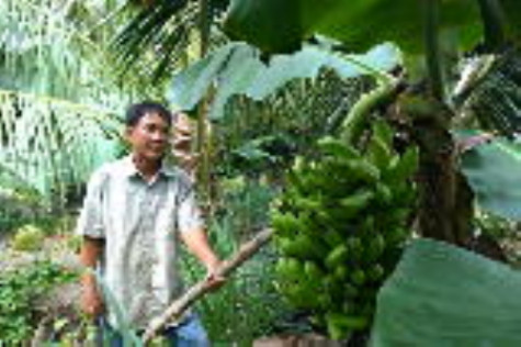 Đảng viên đi trước