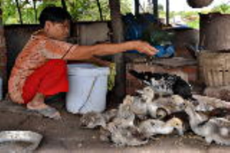 Giảm nghèo từ nhận thức