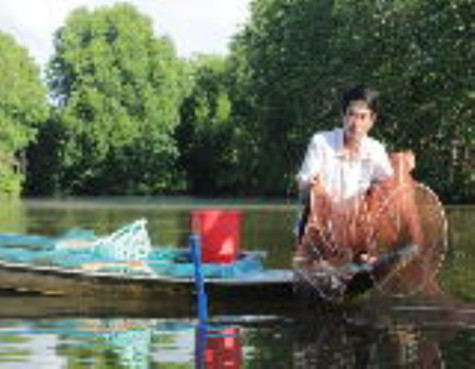 Mở hướng cho tôm sinh thái
