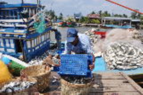 Liên kết chặt chẽ phát huy thế mạnh vùng kinh tế trọng điểm ĐBSCL