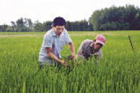 Nông dân lo lắng ngập úng mùa mưa