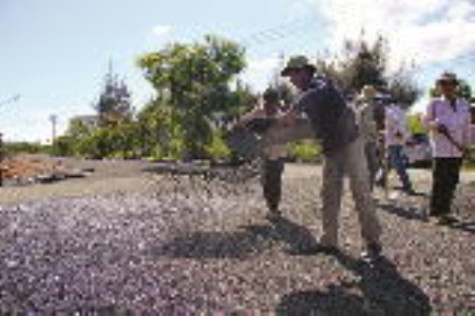 Khi vai trò giám sát được phát huy