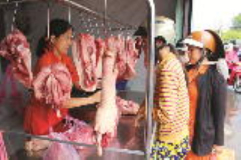 Giá heo tăng trở lại sau thời gian dài chạm đáy
