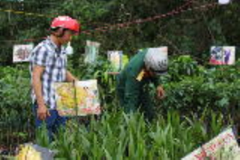 Hơn 80 gian hàng Việt về nông thôn