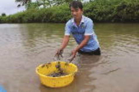 Những thanh niên dám nghĩ, dám làm