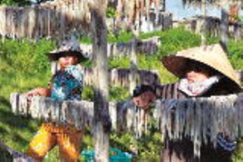 Độc đáo cá khoai Cái Đôi Vàm