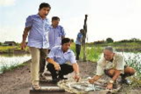 Ứng dụng khoa học - kỹ thuật vào sản xuất