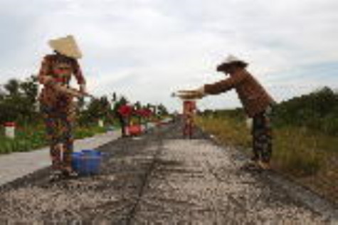 Mùa ruốc biển Tây