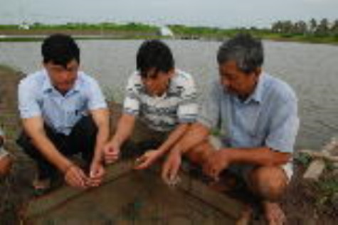 Tạo đột phá cho nghề nuôi tôm