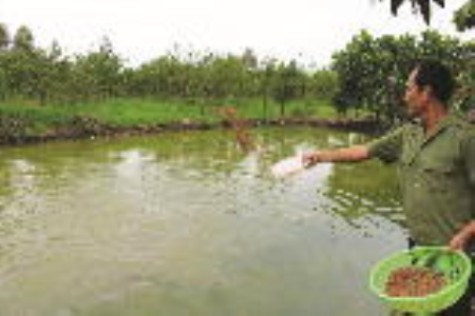 Cựu chiến binh giàu lòng nhân ái