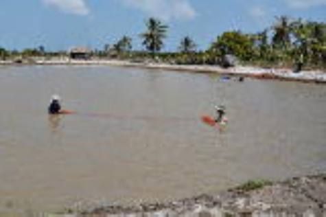 Mỗi kỳ họp là một diễn đàn