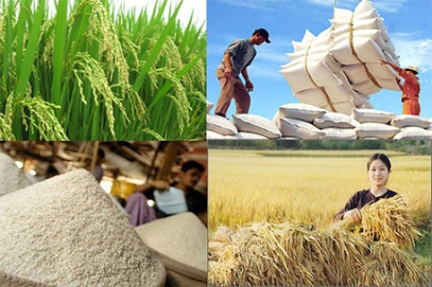 Tuần lễ An ninh lương thực APEC 2017 từ 18-25/8