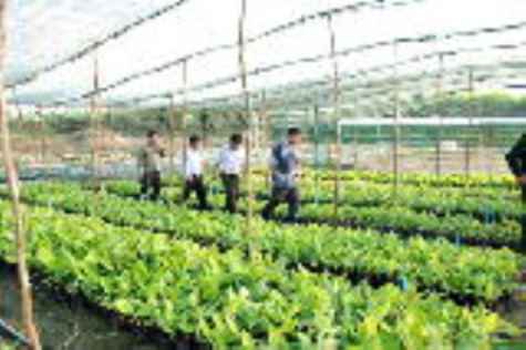 Để ngành trồng trọt tạo bước đột phá