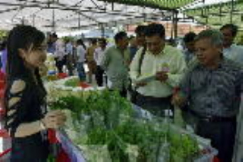 Rau an toàn được công nhận