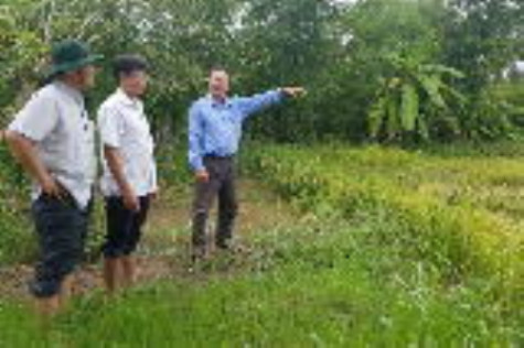 Hơn 2.000 ha lúa hè thu bị ngã đổ do mưa lớn