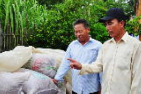 Nông dân Tân Lộc được mùa, được giá