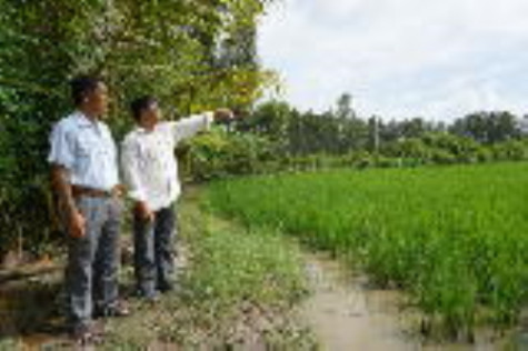 Tổ hùn vàng - trợ lực cho nông dân vươn lên